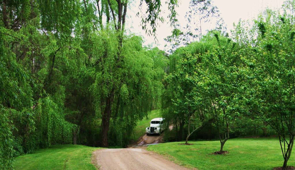 Cedars Mount View (Adults Only) Villa Екстериор снимка